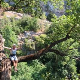 Canyon Forest