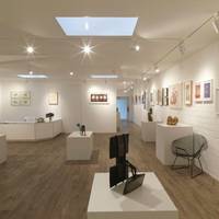 Gallery Pangolin