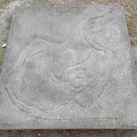 Petroglyph Provincial Park