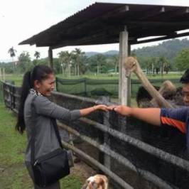 Jelita Ostrich Farm