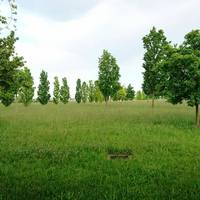 Parco San Giuliano