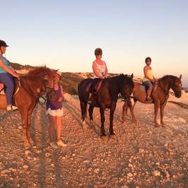 George's Ranch