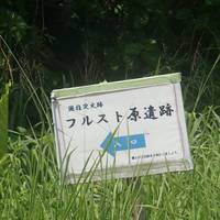 Furusutobaru Remains