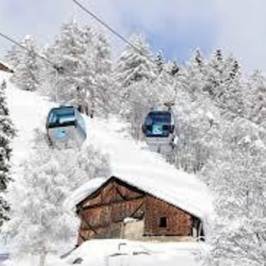 Scuola Italiana Sci e Snowboard Val di Pejo
