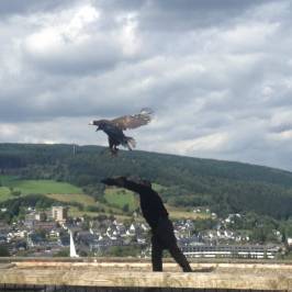 Wild- und Freizeitpark Willingen