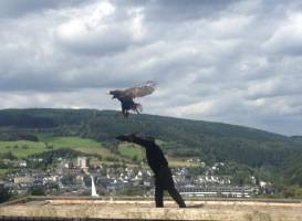 Wild- und Freizeitpark Willingen