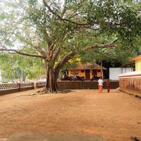 Thiruvachira Sree Krishna Temple