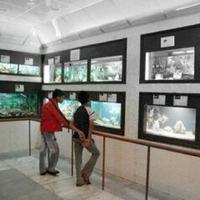CIFA Aquarium