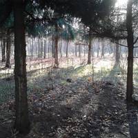 Парк Победы