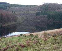 Llyn Brianne Dam and Reservoir