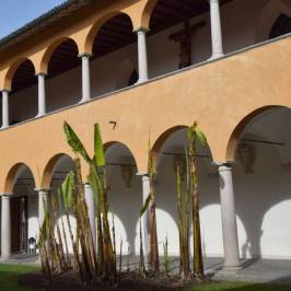 Collegio Pontificio Papio