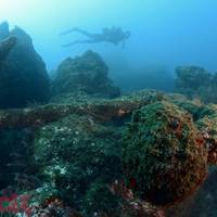 Azores Sub Dive Center
