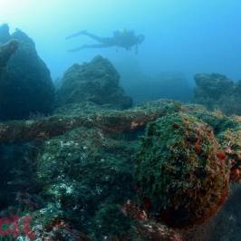 Azores Sub Dive Center