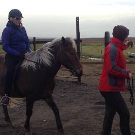 Hella Horse Rental