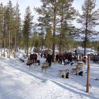 Alba Husky Day Tours
