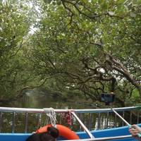 Taijiang Ecological & Cultural Zone