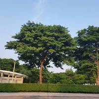 Tainan Furnitures Museum