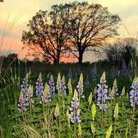River Rouge Park