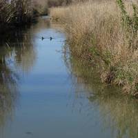 Le Parc Naturel du Marais