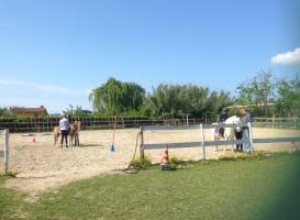 Centro Ippico Pegaso