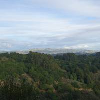 Redwood Regional Park