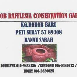 Kokob Rafflesia Conservation Garden