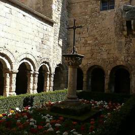 Cathédrale Saint Véran