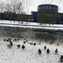 Gävle Konserthus