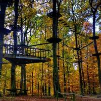 Kletterwald Hameln