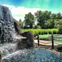Adventure Cove Miniature Golf