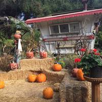 Myrtle Creek Botanical Gardens & Nursery