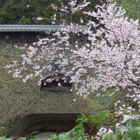 Jorakuji Temple
