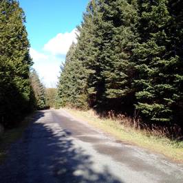 Vanderwater Conservation Area