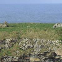 Bog Road Bike Tours