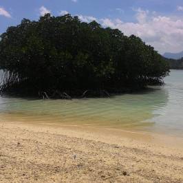 Pahawang Island
