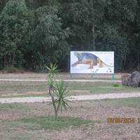 Parco Paleontologico Dinosardo