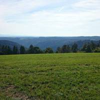 Schinkenweg