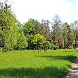 Simeria Arboretum