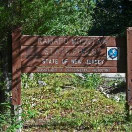 Ramapo Mountain State Forest