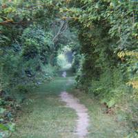 Wawanosh Wetlands Conservation Area