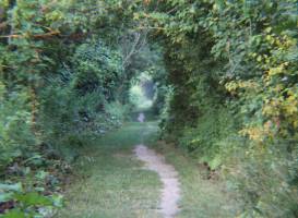 Wawanosh Wetlands Conservation Area