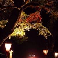 Tougyouan