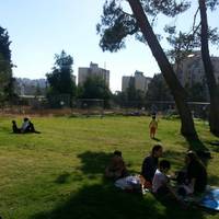 Rabinovich Park