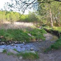 Sunnidale Park Arboretum