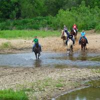 Salt Creek Ranch