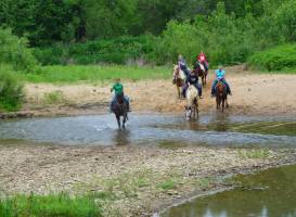 Salt Creek Ranch