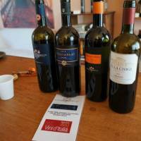 Poggio Bonelli Winetasting and Shop
