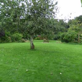 Stackpole Walled Garden