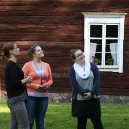 Törnävä Museum Area