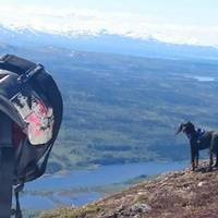 Explore Åre